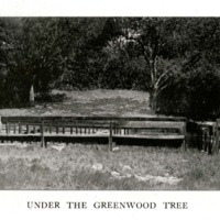 Under the Greenwood Tree